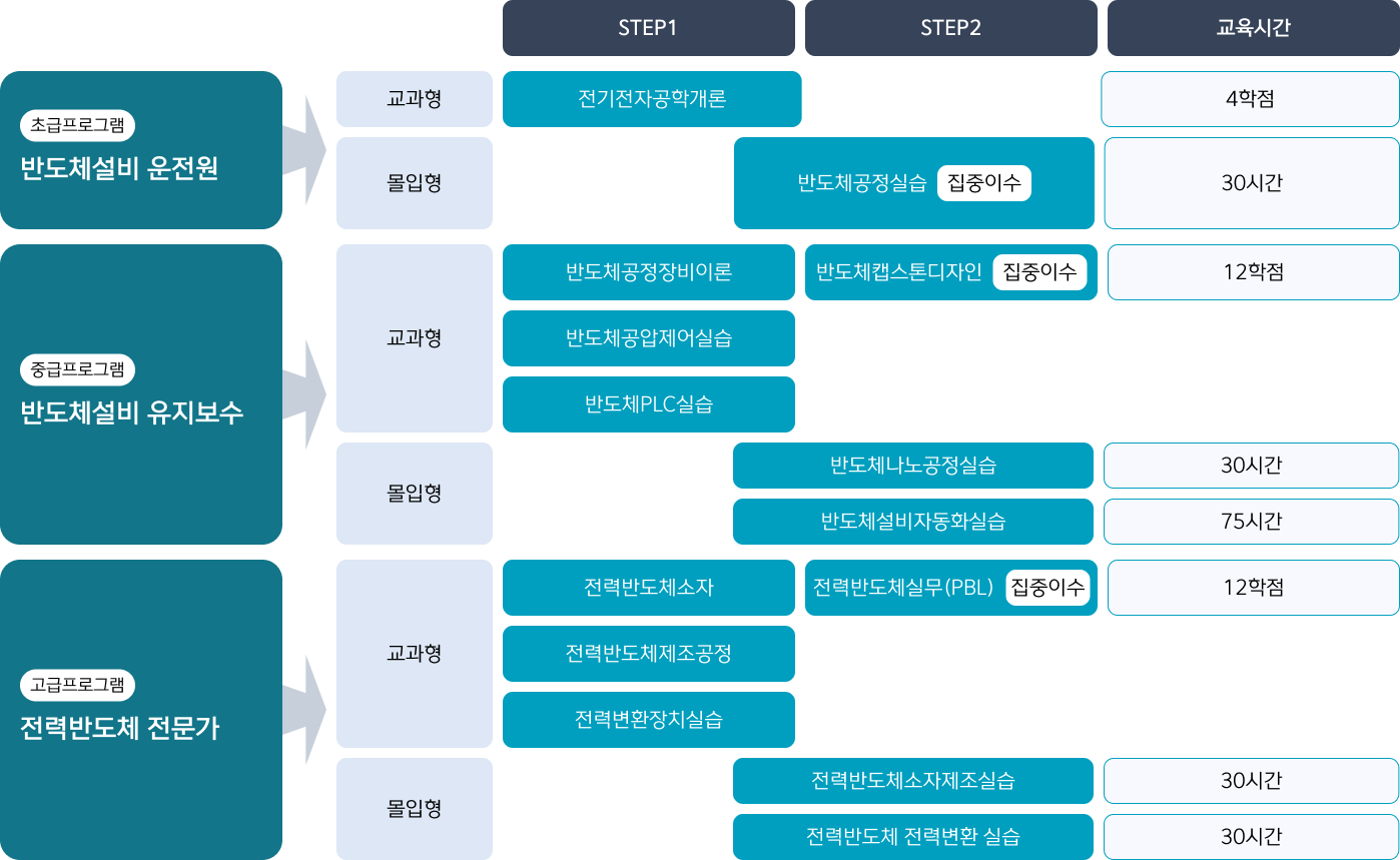 반도체 인재양성 교육과정 체계도 이미지표